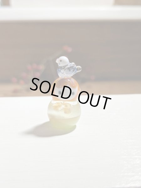 画像1: マトリョーシカとセキセイインコ (1)