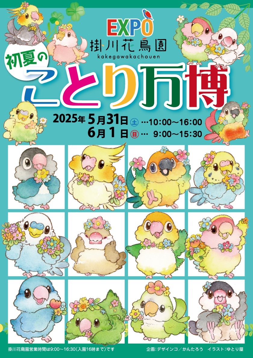 イベントのお知らせ